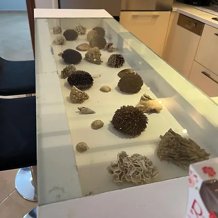 Lägenhet On The Promenade