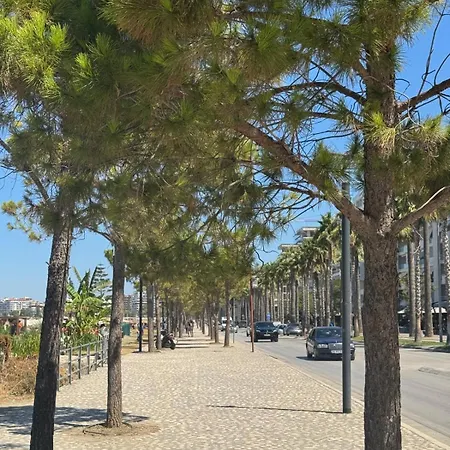 On The Promenade * Vlorë
